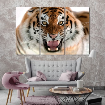 Tiger contemporary canvas wall art