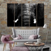 Elephant close up black and white canvas paintings