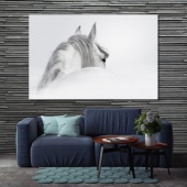 White horse framed canvas wall art, black and white artwork