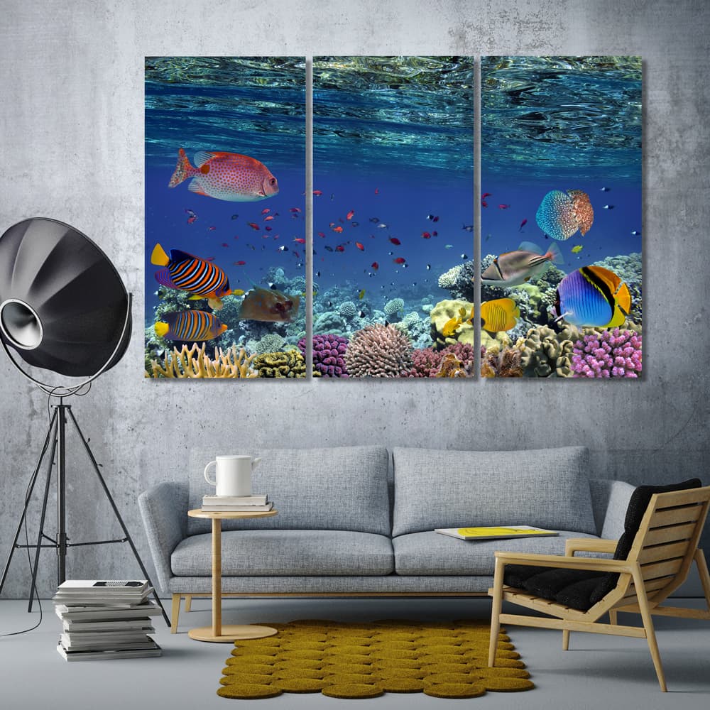 Fish underwater wall art decor ideas, sea life canvas prints art - arts- decor.com