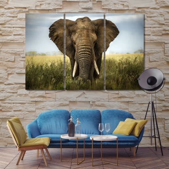Elephant canvas wall art