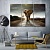 Elephant artwork for office, wild animal modern wall decorations