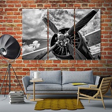 Old airplane in black and white art prints on canvas