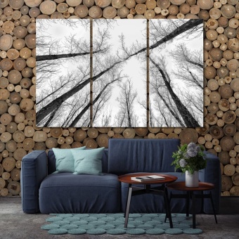 Abstract forest photo with black and white trees canvas