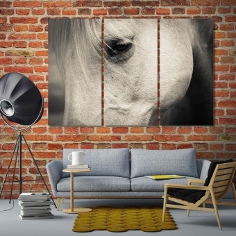 White horse black and white wall art, pets print canvas art